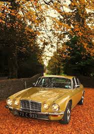 Image result for Greensand 1976 Jaguar