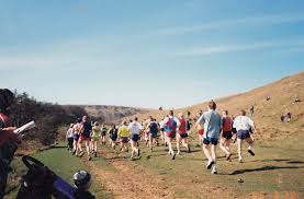 Image result for Cheltenham and County Harriers