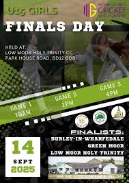Image result for Low Moor Holy Trinity Cricket Club
