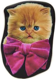 Image result for Black Cat Sac