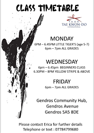 Image result for Swansea Taekwondo Club