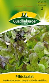 Image result for Pflücksalat