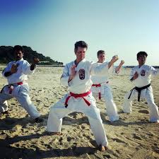 Image result for Inyo Karate Do Ninbukan