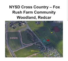 Image result for Middlesbrough A C (Mandale)