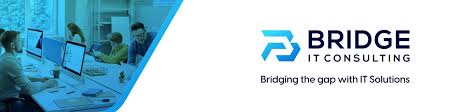 Image result for Bridge It