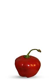 Afbeeldingsresultaat voor red rocoto hot pepper
