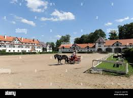Image result for Lower Farm Stables