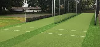 Image result for Salfords Cricket Club