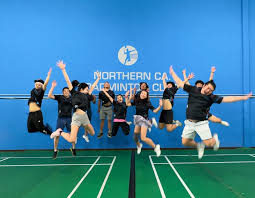 Image result for Norton Canes Badminton Club