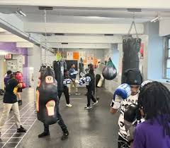Image result for York University Boxing Club