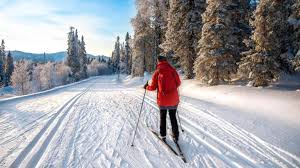 Image result for Scandinavian slope and cross country skiing