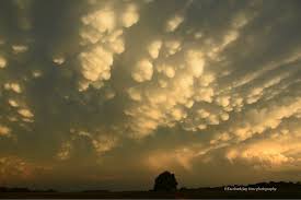 Attēlu rezultāti vaicājumam “Mammatus”