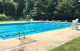 Image result for Ware Swimming Club