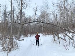 Image result for Lakeland Cross Country Ski Club