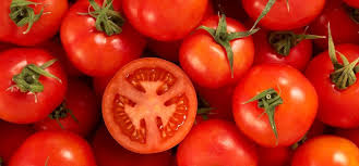 Image result for Tomate