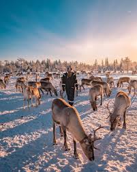 Image result for Laplandit-(Ce)