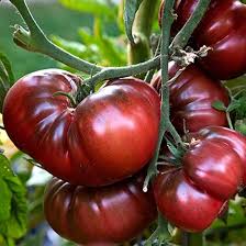 Afbeeldingsresultaat voor black oxheart tomato