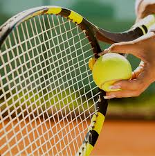 Image result for Lightwater Park Tennis Club