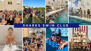 Image result for Selby Tiger Sharks Swimming Club