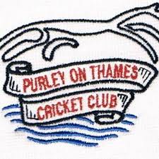 Image result for Buxted Park Cricket Club