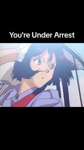 Image result for 逮捕Anime