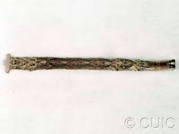 Attēlu rezultāti vaicājumam “Plagodis pulveraria”