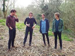 Image result for Shadow Blasters