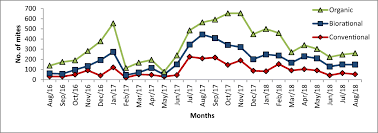 Attēlu rezultāti vaicājumam “Belbodamaeus sp.”