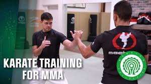 Image result for Precision MMA Mixed Martial Arts Training