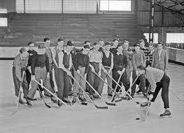 Image result for West Coast Wasps Skater Hockey Club