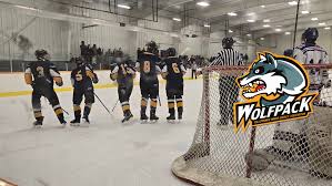 Image result for York University Street Hockey Club