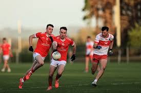 Image result for Padraig Pearses