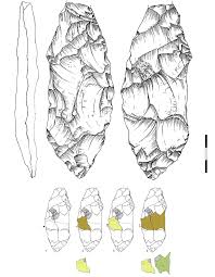 Image result for feuille-laurier-silex