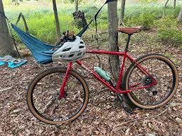 Image result for Loddon Vale Bridge Club