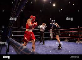 Image result for Cambridge Amateur Boxing Club