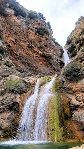 Attēlu rezultāti vaicājumam “Leporida”