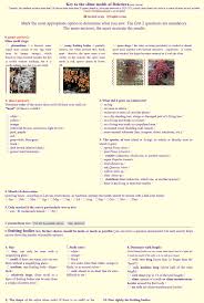 Attēlu rezultāti vaicājumam “Trichiaceae, Hemitrichiaceae, Arcyriaceae”