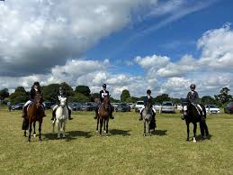 Image result for Chiddingfold Branch Of The Pony Club