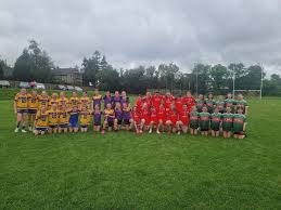 Image result for Tullylish Gac