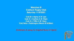 Image result for Cobham Netball Club