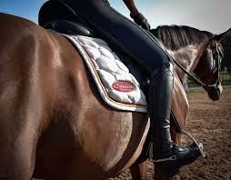 Image result for Carman Stables