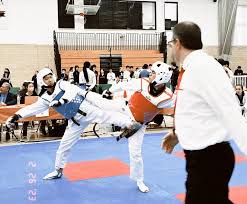 Image result for Invertay Taekwondo Club