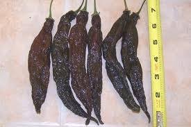 Afbeeldingsresultaat voor aji panca hot pepper