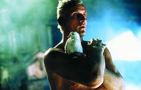 Reboot de Blade Runner  Images?q=tbn:ANd9GcT1BW-fAK-NvECpmdsREz-CUDYUJqKps_QdVX9mtsCdvoaPug1HNg