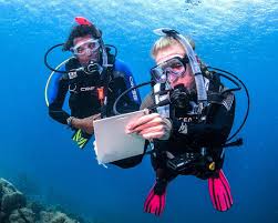 Image result for Divemaster Scuba