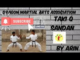 Image result for Dragon Martial Arts Association