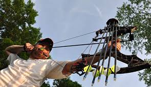 Image result for Blue Arrows Archery Club