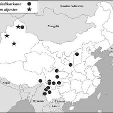 Attēlu rezultāti vaicājumam “Orthotrichum, Nyholmiella”