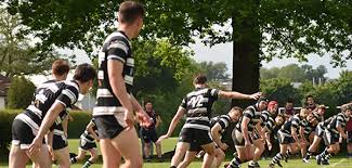 Image result for York University Rugby Union Club