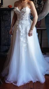 Image result for cosmobella